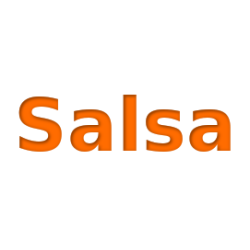 Salsa Kurse  starter